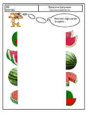 Eşleştirme Çalışmaları